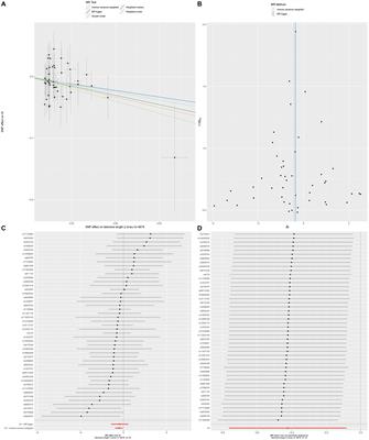 Causal relationship between telomere length and risk of intracranial aneurysm: a bidirectional Mendelian randomization study